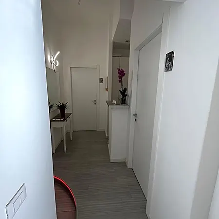 住宿加早餐酒店 Domus Flavia 罗马